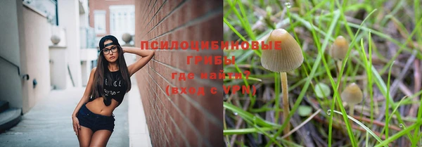 молекула духа Баксан