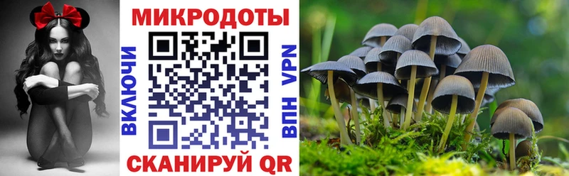 Галлюциногенные грибы прущие грибы  купить наркоту  Краснознаменск 
